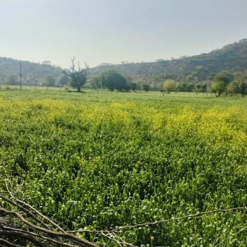 Property for sale in Burja, Alwar