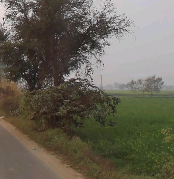 Property for sale in Alwar Mega Highways