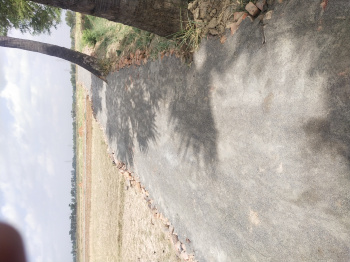 Property for sale in Punpun, Patna