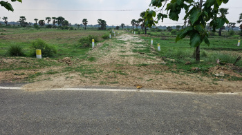 Property for sale in Rajgir, Nalanda