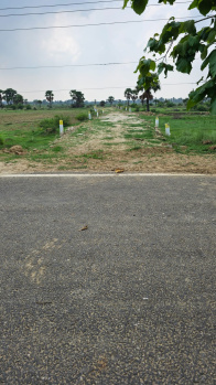 Residential Plots, Chhabilapur, Lodipur, Rajgir, Bihar