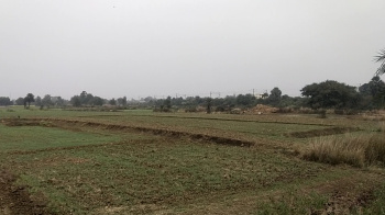 Property for sale in Parsa, Patna