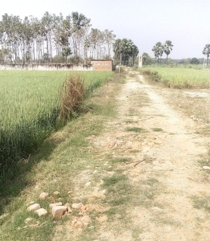 Property for sale in Rajgir, Nalanda