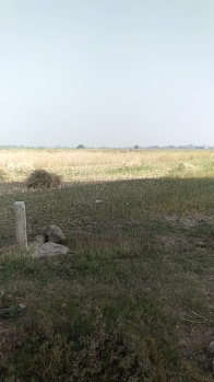 Residential Plot for Sale in Deedarganj, Patna (1200 Sq.ft.)