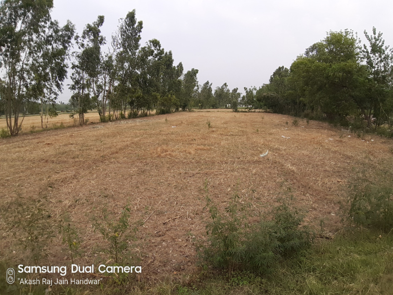 3 Bigha Industrial Land / Plot for Sale in Iqbalpura, Roorkee
