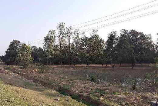 A 22 Bigha Agricultural land Available for Sale Near Patanjali Yogapeeth