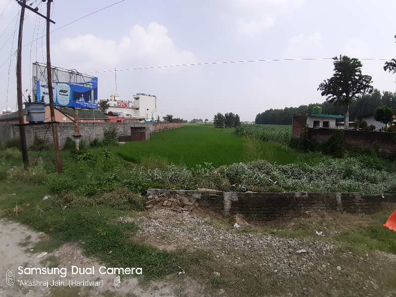 A Agricultural/Farm Land Is Available for Sale At Very Prime location in Haridwar On NH-58, Near Patanjali Yogapeeth Haridwar & Crystal World Bahadarabad Haridwar,