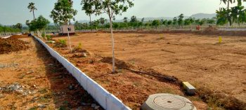 100 Sq. Yards Residential Plot for Sale in Jait, Vrindavan
