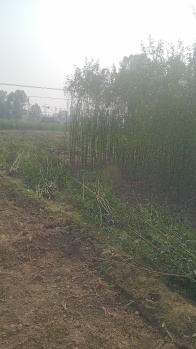 Property for sale in Khurja, Bulandshahr