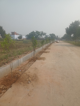 100 Sq. Yards Residential Plot for Sale in Sikandrabad, Bulandshahr