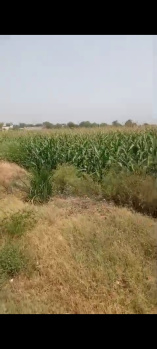Property for sale in Anupshahr, Bulandshahr