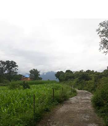 400 Marla Agricultural/Farm Land for Sale in Baijnath, Kangra