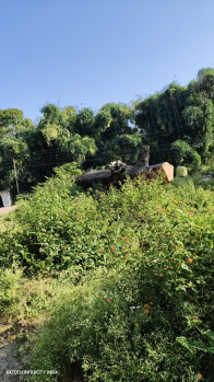 Property for sale in Panchrukhi, Kangra