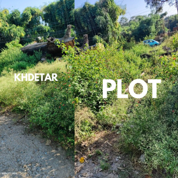 20 Marla Residential Plot for Sale in Panchrukhi, Kangra