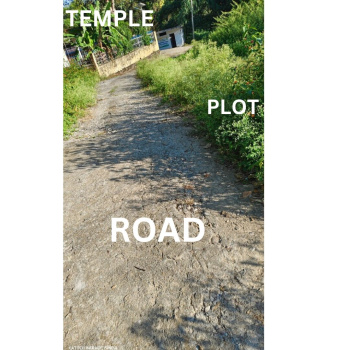 Property for sale in Panchrukhi, Kangra