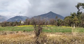 Sale – 100 Kanal Land in Dharamshala (Tang) with Scenic View