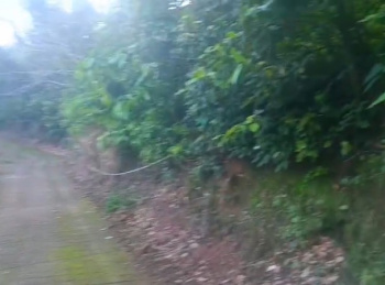 Property for sale in Nahan, Sirmour