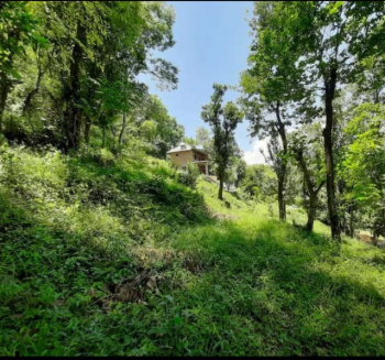 24 Kanal Land with House for Sale in Bir Billing, Mandi | Prime Himachal Pradesh Investment Opportunity