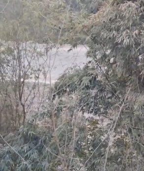 Property for sale in Jawalamukhi, Kangra