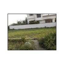 Plot are Available for Sale in Peaceful Area