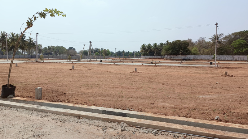 1200 Sq.ft. Residential Plot For Sale In Manikandam, Tiruchirappalli