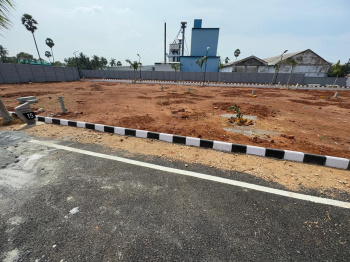 Residential Plot for Sale in Manikandam, Tiruchirappalli (1500 Sq.ft.)