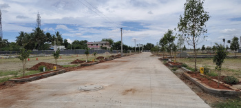 Residential Plot for Sale in Viralimalai, Pudukkottai (1200 Sq.ft.)