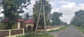 Farm House for Sale in Dindigul Road, Tiruchirappalli (10000 Sq.ft.)