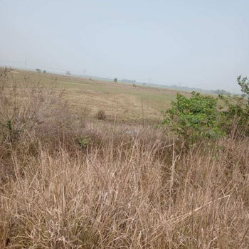 Land For Sale At Subhasgram Bypass