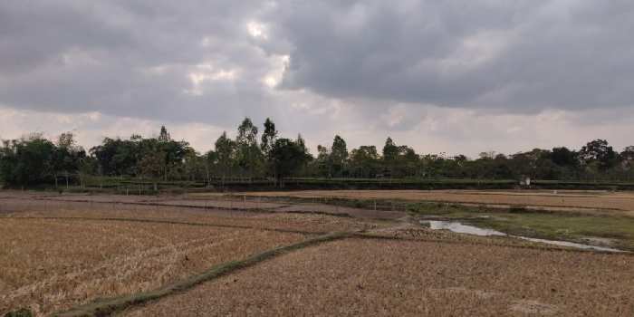 Commercial plot for sale at Sonarpur