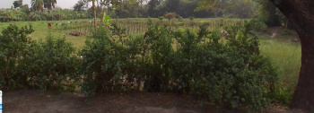 Agricultural/Farm Land for Sale in Sonarpur, Kolkata (10 Bigha)