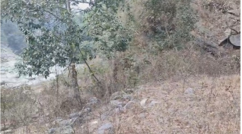 Residential Plot for Sale in Upper Cart Road, Kalimpong (1 Acre)
