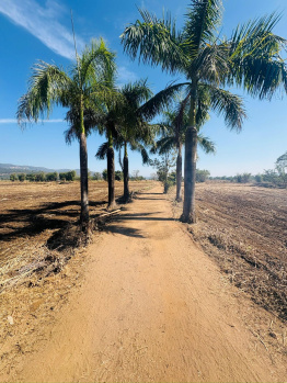 Residential Plot for Sale in Kolad, Raigad (21780 Sq.ft.)