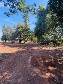 Property for sale in Mangaon, Raigad