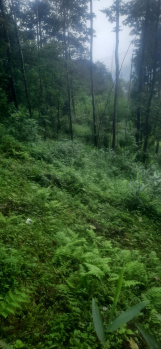 90 Dismil Residential Plot for Sale in Sonada, Darjeeling