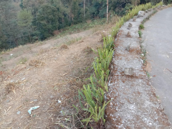 43500 Acre Residential Plot for Sale in Kalimpong