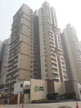 2 BHK Flats & Apartments for Sale in Noida Extension Noida Extension, Greater Noida (1100 Sq.ft.)