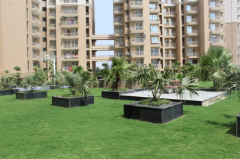 3BHK Apartment for sale in   Nirala Greenshire