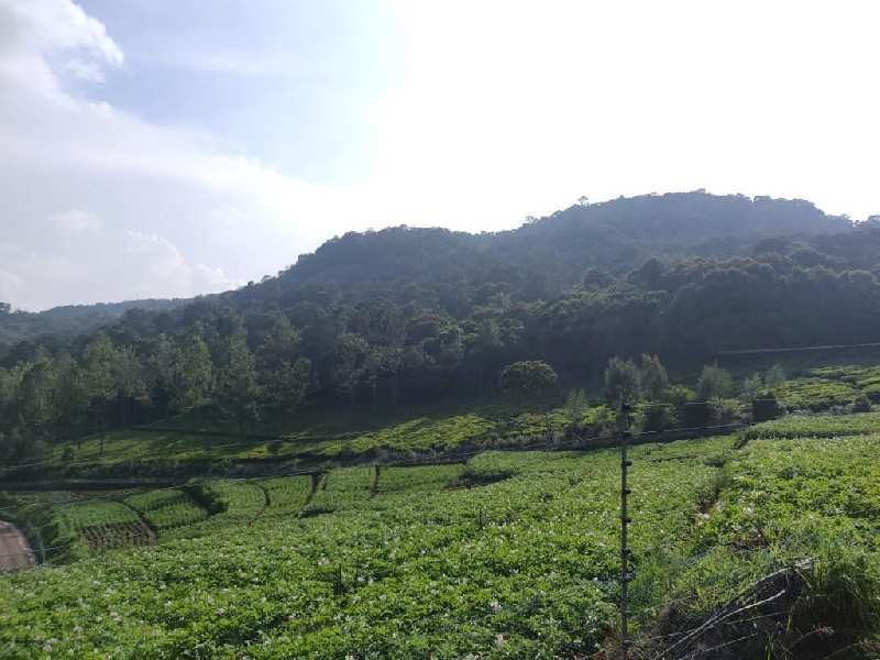 Agricultural land for sale in kotagiri