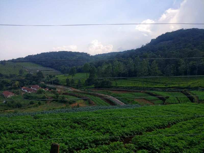Agricultural land for sale in kotagiri