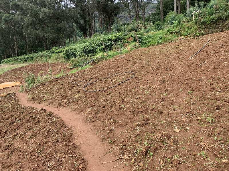 10 Cent Residential Plot for Sale in Ooty