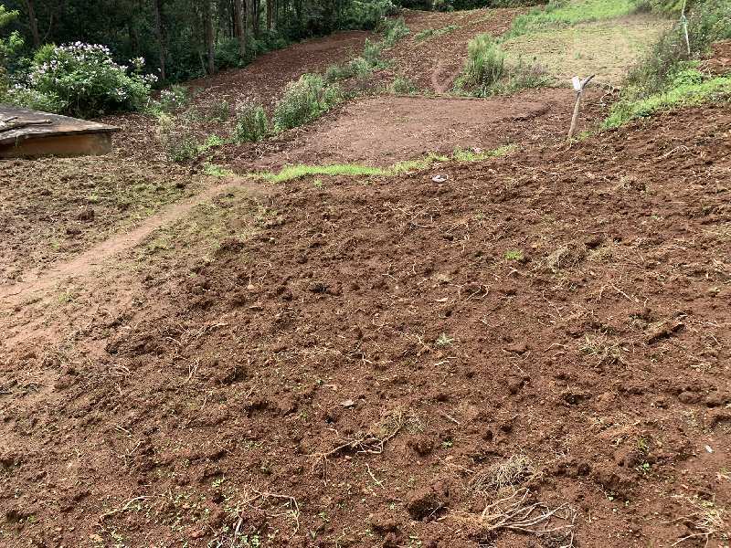 10 Cent Residential Plot for Sale in Ooty