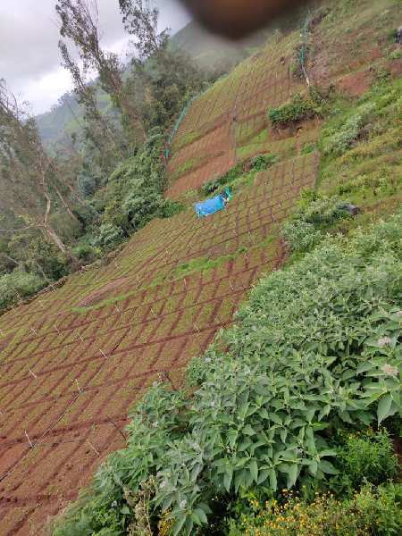 Agricultural land for sale in Ooty