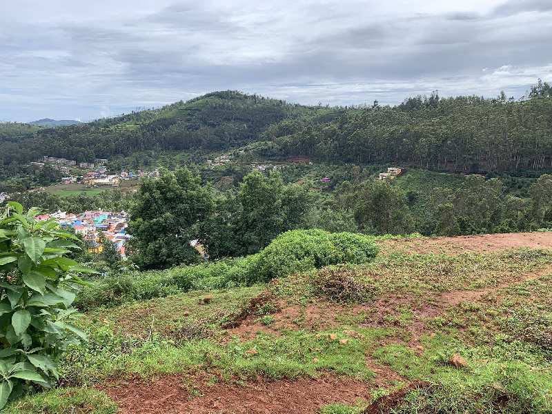 2.5 Acre Residential Plot for Sale in Coonoor, Nilgiris