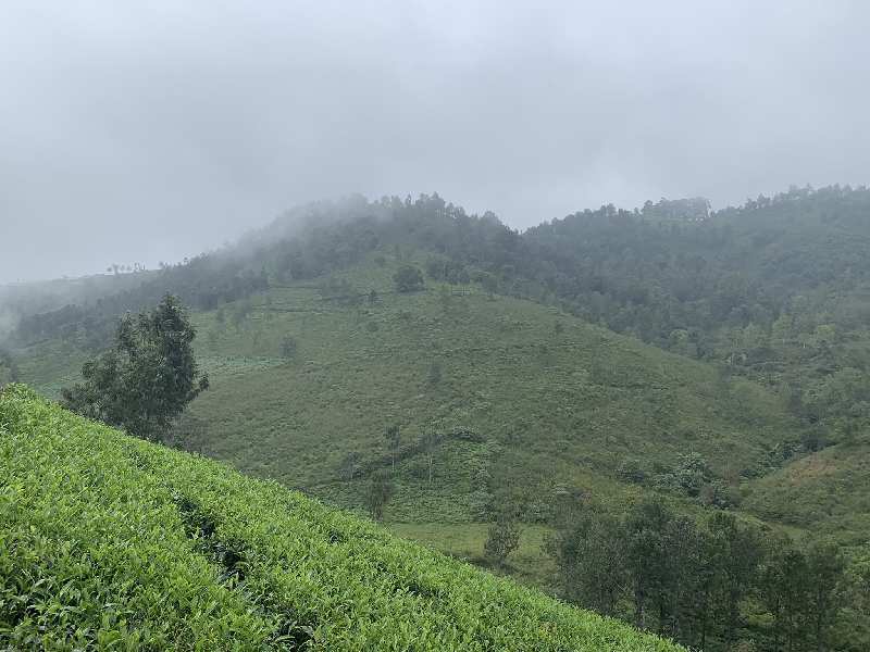 16 Acres of land for land in Coonoor