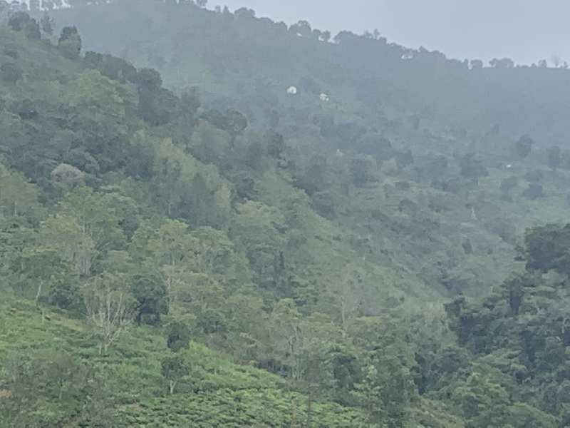 16 Acres of land for land in Coonoor