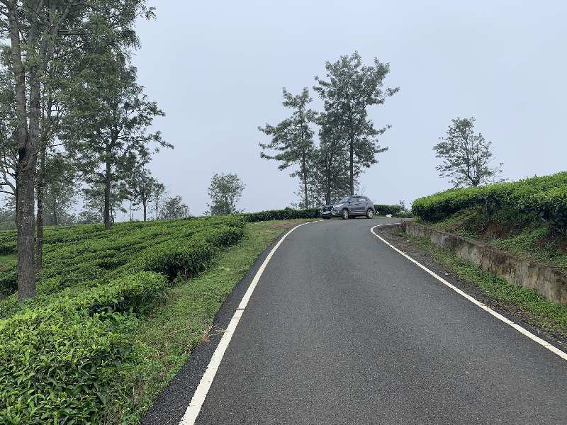 7 Acres of land for sale in Coonoor