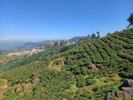 5.25 Acres of Land for Sale in Ooty