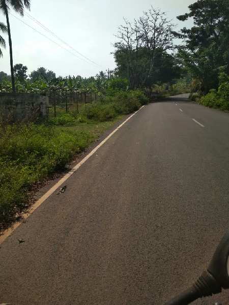 75 Acres Agricultural land for Sale in Mettupalayam