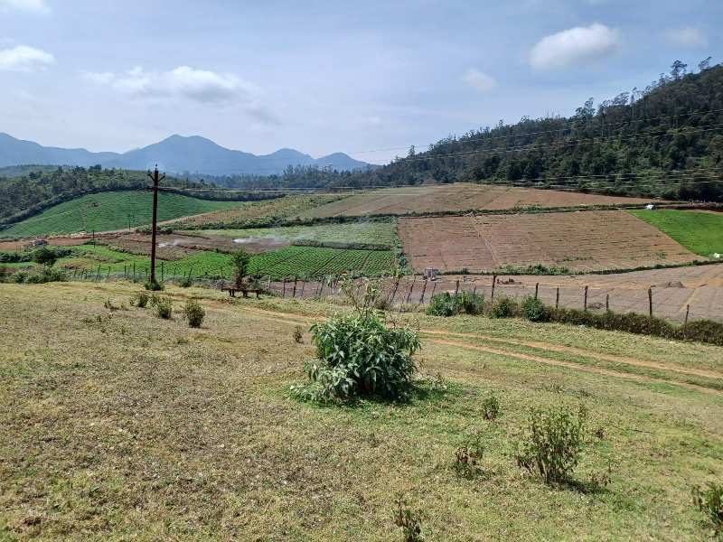 15.43 ACRES FOR SALE IN OOTY